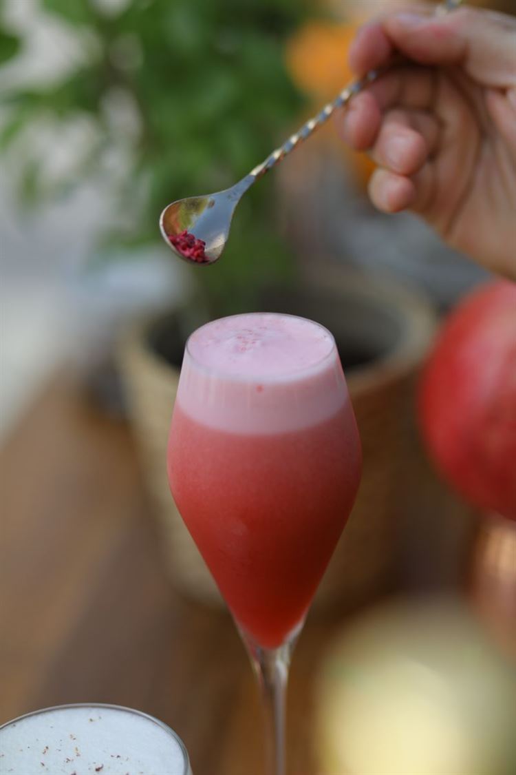 אומנות השקשוק: כך תכינו בעצמכם קוקטיילים מושלמים לסילבסטר 10