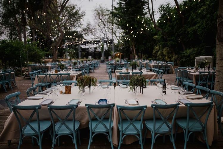 "שלא תעיזי להתאהב": הכלה שהתעלמה מכל סימני האזהרה 31