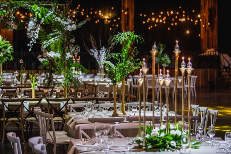 מתחם האירועים שכולם מדברים עליו (צילום: עידן כנפי)