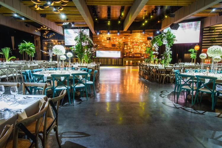 הקסם שעוטף את האירוע מכל פינה (צילום: עידן כנפי)