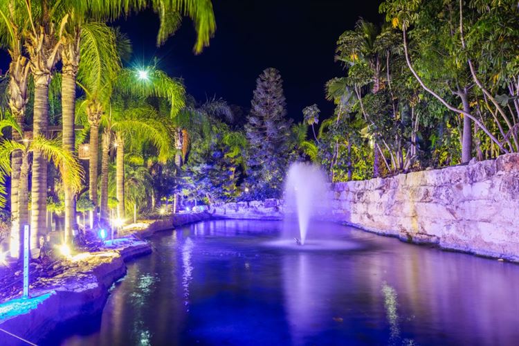 אגם הברווזים שמחכה לאורחים בכניסה למתחם (צילום: עידן כנפי)