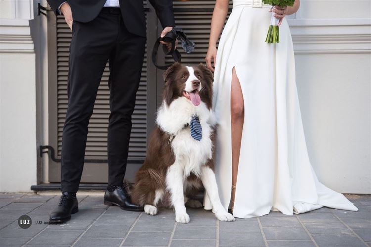 High School Lovers: החתונה התל אביבית של קרן ואיתי 11