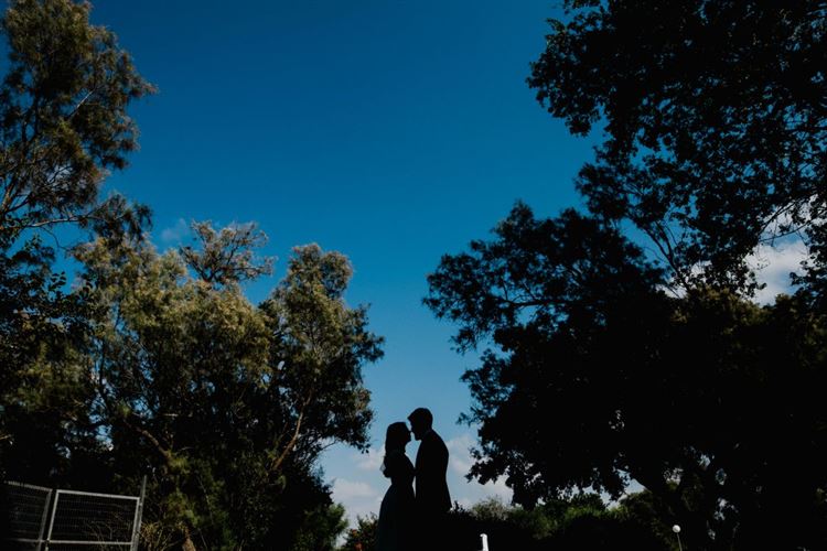 ארבעה מטרים מקו החוף: חתונת הים שפנטזתם עליה 11