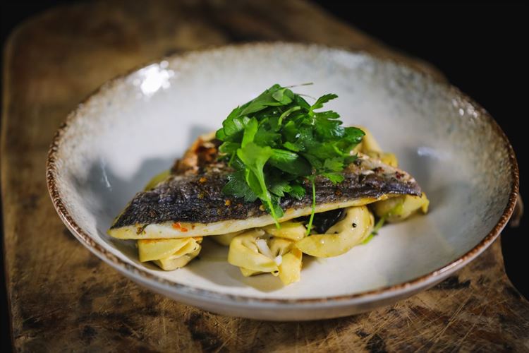 קרובים לצלחת: מה חשבנו על תפריט 2020 של "טרויה"? 10