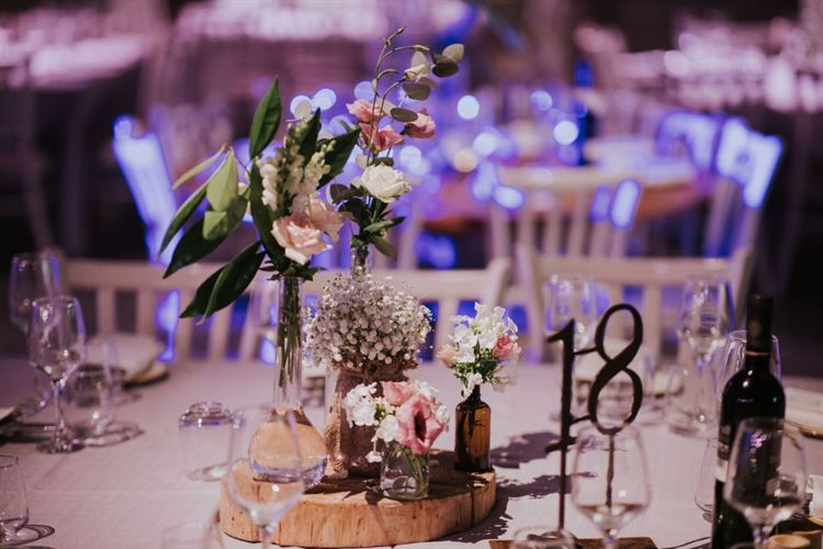 החתונה האורבנית של שקד ואופק (צילום: שי בוזגלו Your story)