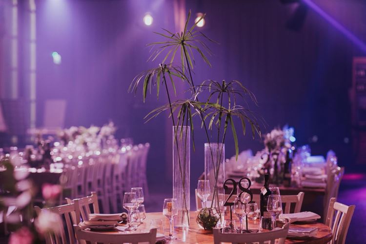 החתונה האורבנית של שקד ואופק (צילום: שי בוזגלו Your story)