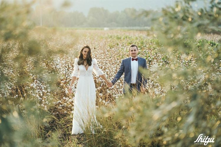 האלווין אקספרס: כשההכנות לחתונה הופכות למרוץ 12