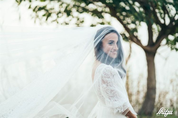 האלווין אקספרס: כשההכנות לחתונה הופכות למרוץ 14