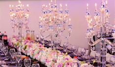 ויולה - מסעדות