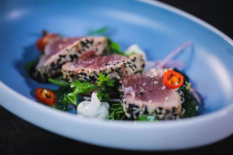 כל הפרטים: אירוע המתחתנים השנתי של "טרויה" יוצא לדרך! 6