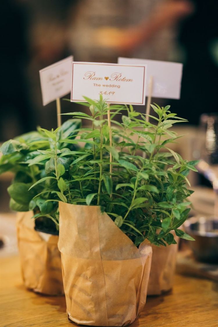 "סבתא, אני טסה למצוא חתן במקסיקו" 33