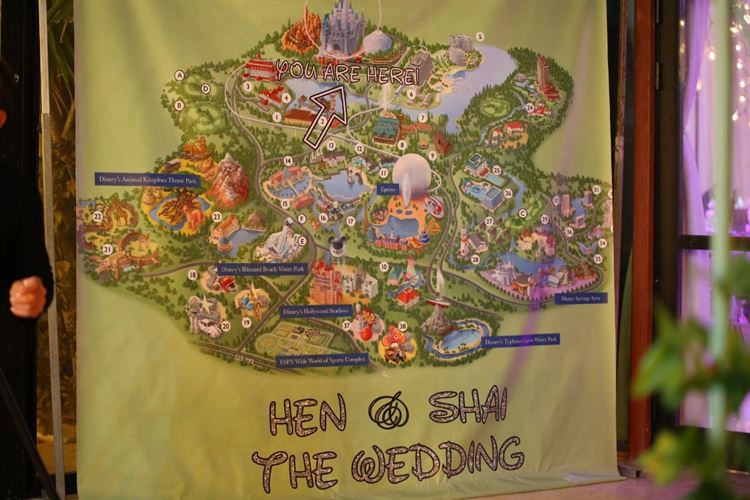 סיפורה של נסיכה: חתונת הדיסני של כוכבת האינסטגרם 31