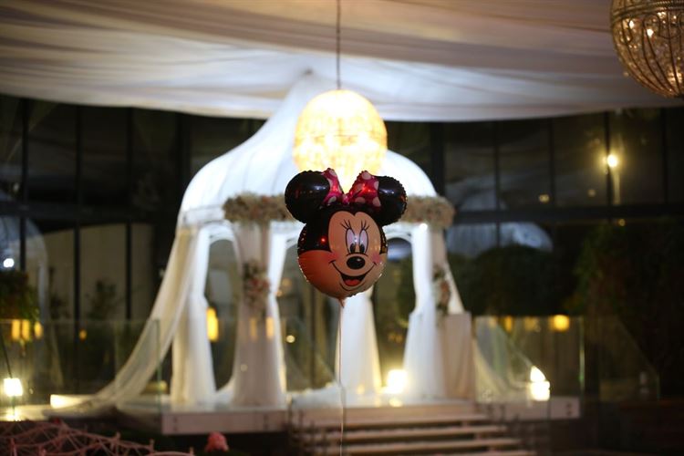 סיפורה של נסיכה: חתונת הדיסני של כוכבת האינסטגרם 28