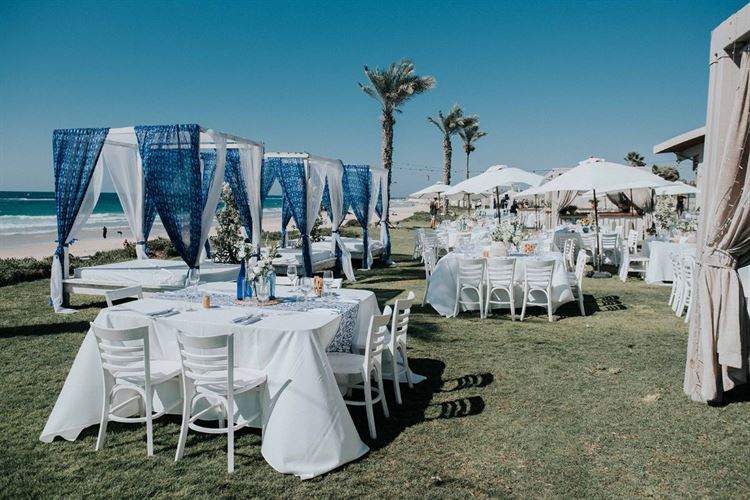 מתוך אלבום החתונה של חן ואסף (צילום: איה ואבי)