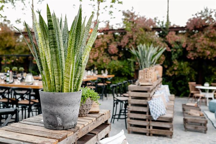 בגינה של בדולינה בדולינה #2