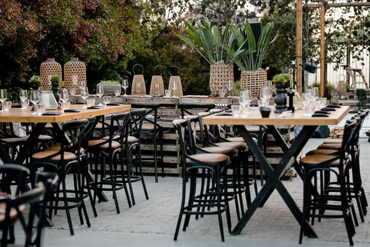 עיצוב מושקע שיגרוף מחמאות (צילום: רן ברגמן)