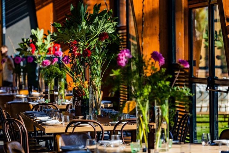 מתגלגלים מצחוק בדרך לחופה: מני ממטרה ופרלה דנוך התחתנו 22