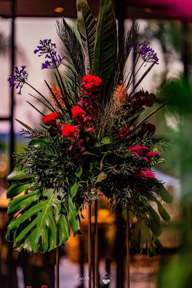 מתגלגלים מצחוק בדרך לחופה: מני ממטרה ופרלה דנוך התחתנו 24