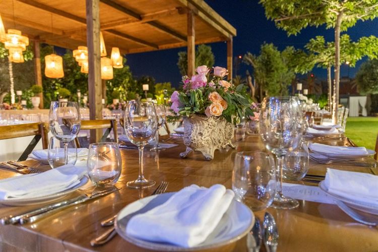 בהשקה ראשונה: נחשף לוקיישן האירועים הכי מדובר השנה 11