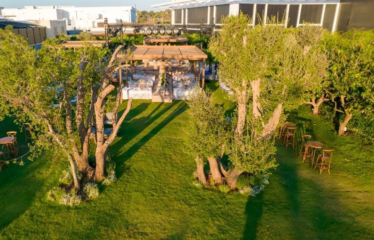 בהשקה ראשונה: נחשף לוקיישן האירועים הכי מדובר השנה 15