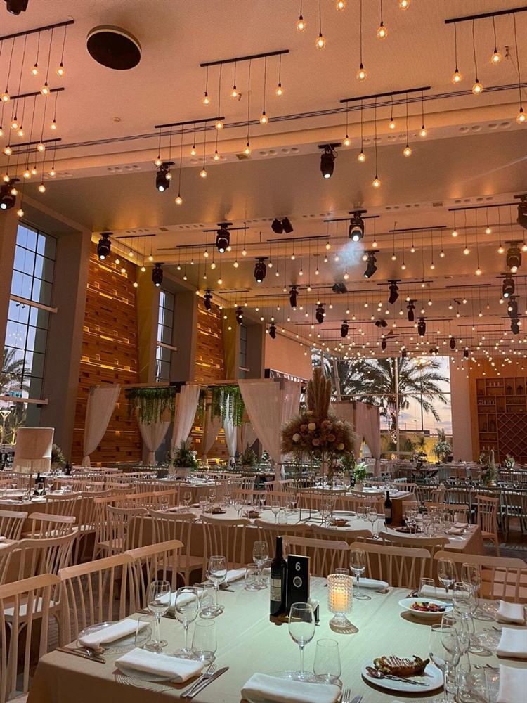 כל העולם במה: חתונה של כוכבי התיאטרון ב"נסיה" 9