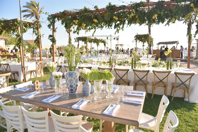 לימונים, מישהו? (צילום: תמיר ברגיג)