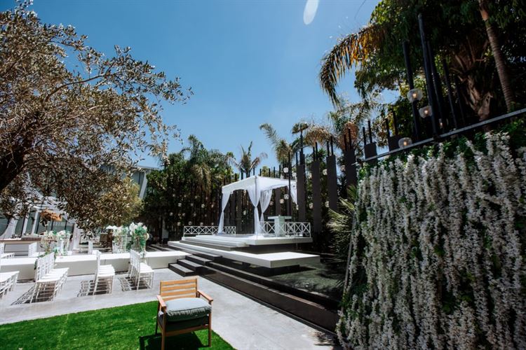 ההצעה המפתה של האקס המיתולוגי 12