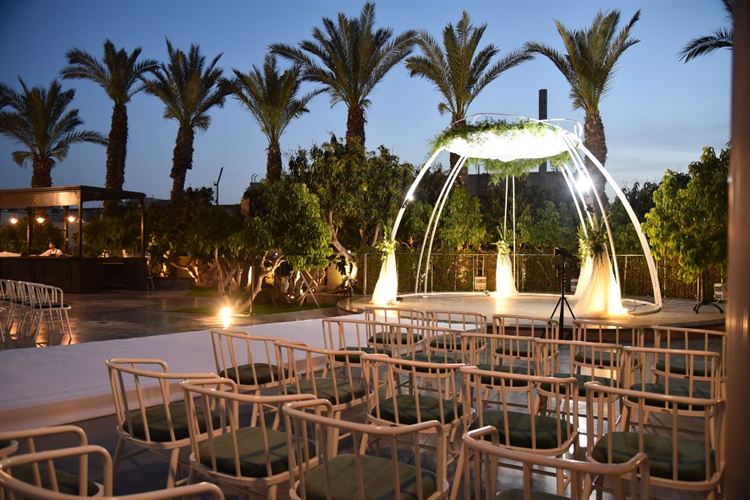 החתונה של טליה ואנטוני (צילום: אלירן סטודיו)