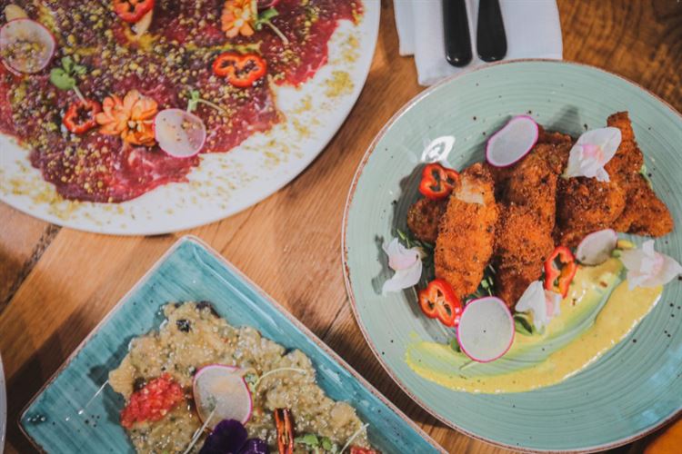 לצייר על הצלחת: קולקציית המנות המשגעת של דוריה 3