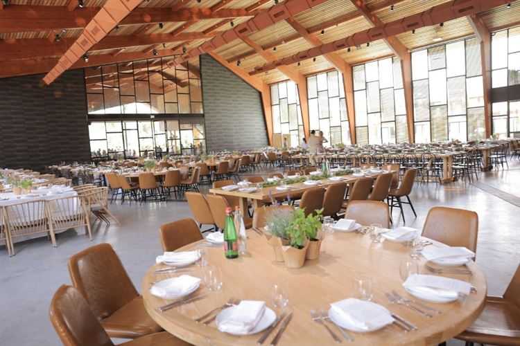 (צילום: שרון רביבו)