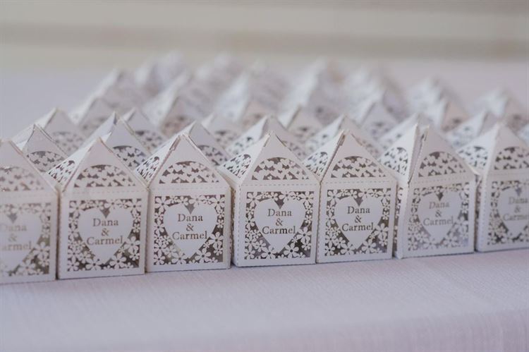 החתונה של דנה וכרמל (צילום: מתן נעים)