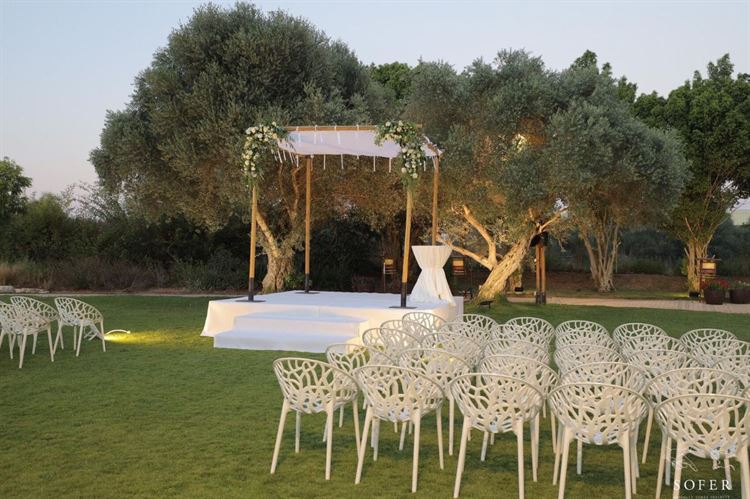 החתונה של ספיר וניב (צילום: יניב סופר)