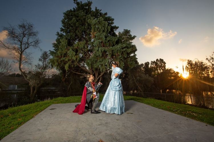 רגע האמת (צילום: אריאל קריידרמן)