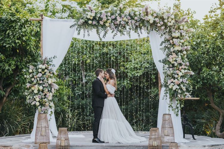 (צילום: עידן חסון)