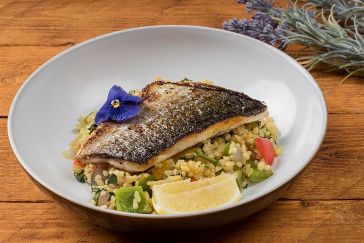 במפגש בין הים לשמש: מתחם האירועים "קאסטלו" 13