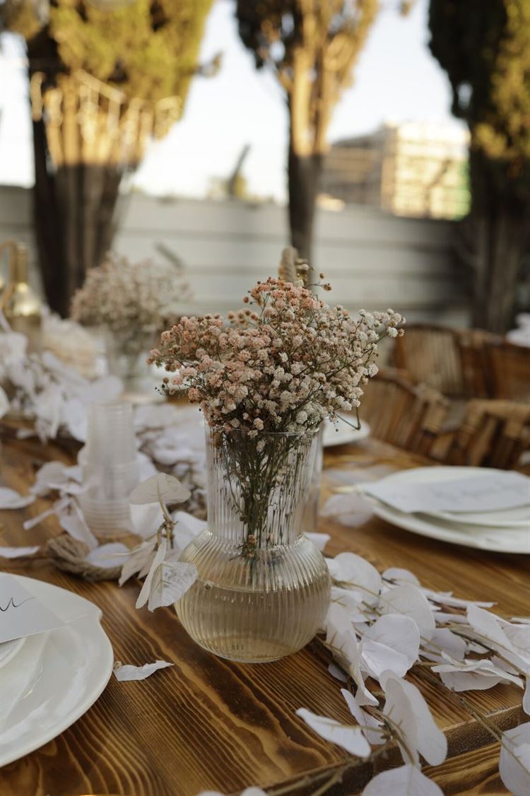 (צילום: שלומי ביטון)