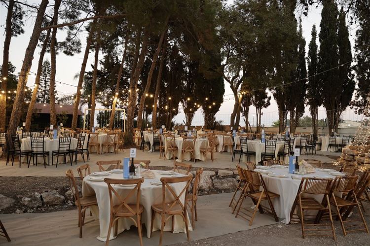 (צילום: שלומי ביטון)