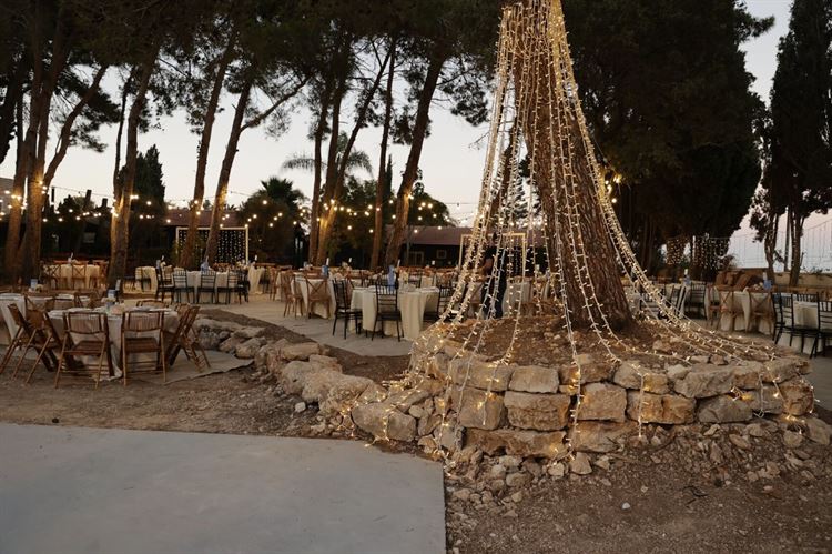 (צילום: שלומי ביטון)