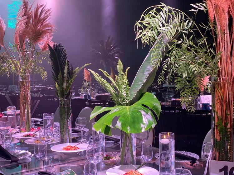 (צילום: צ'מסי צלמים)