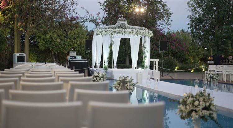 (צילום: וואלה! מזל טוב)