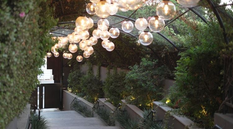 (צילום: וואלה! מזל טוב)