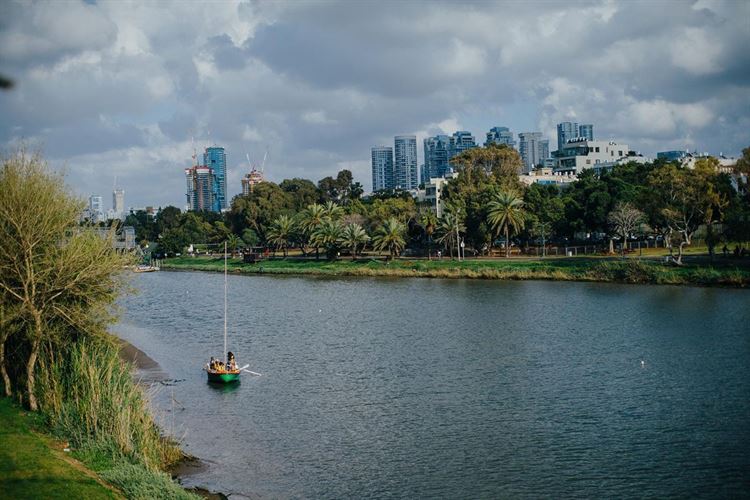 על גדות הירקון (צילום: שי שחר)
