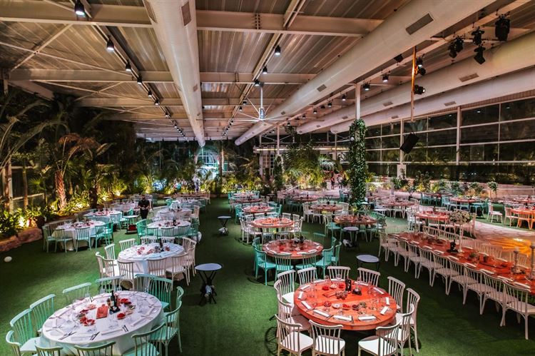 לצבוע את החתונה בגוון מרהיב: אירוע באולמי "דוריה" 3