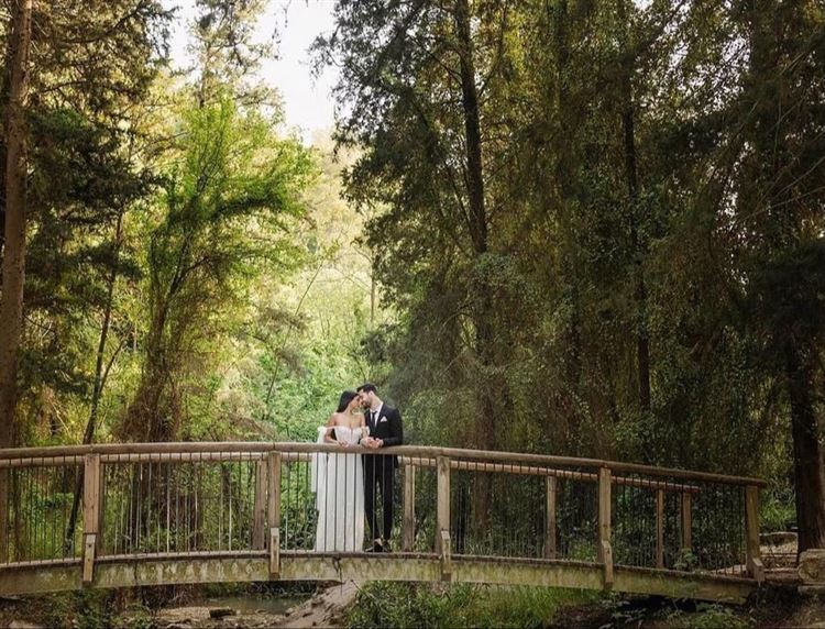 בלי רגע דל: הכלה שעשתה ג'ונגל מהחתונה 14