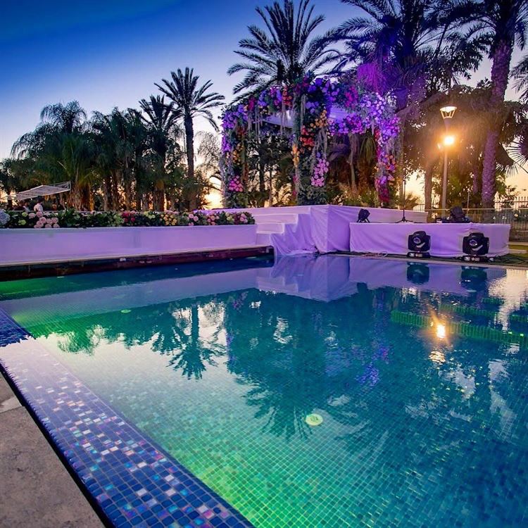 בלי רגע דל: הכלה שעשתה ג'ונגל מהחתונה 30