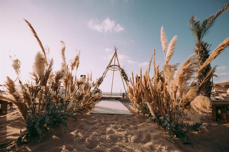 הצלחה כפולה: שתי חתונות מושקעות בוויקנד אחד 14