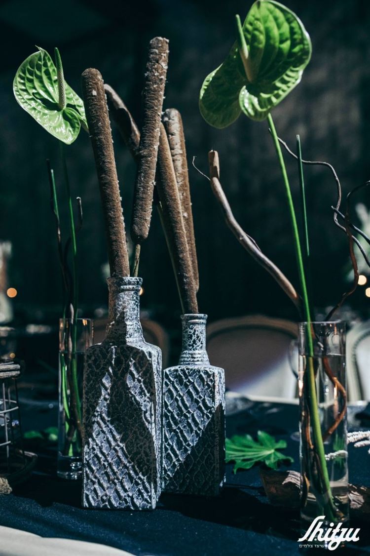 ג'ונגל עם קלאס, החתונה של יובל וגבי (צילום: שיצו)