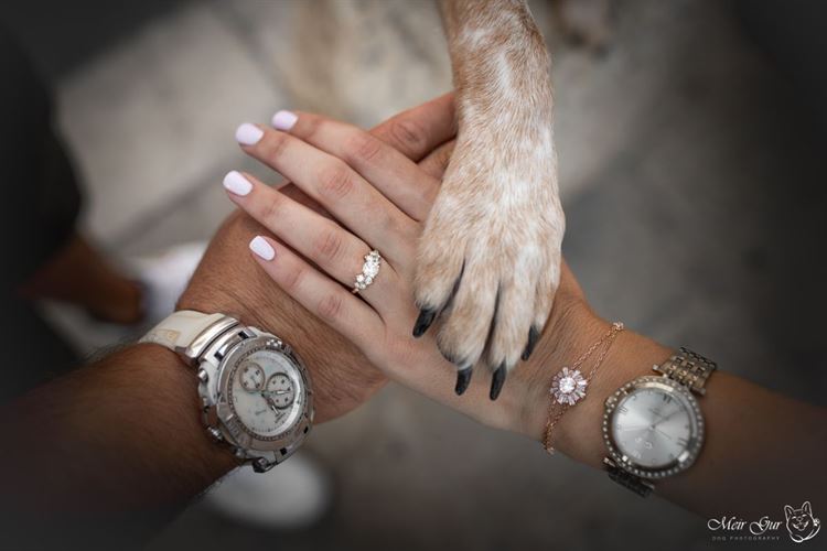 על אהבות וזנבות: חתונה מנביחה ראשונה 2