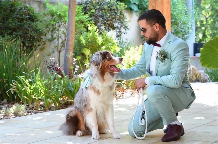 על אהבות וזנבות: חתונה מנביחה ראשונה 12