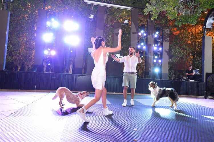 על אהבות וזנבות: חתונה מנביחה ראשונה 4